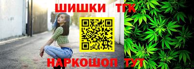 мдпв Гатчина