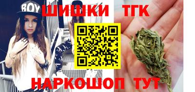 мдпв Гатчина