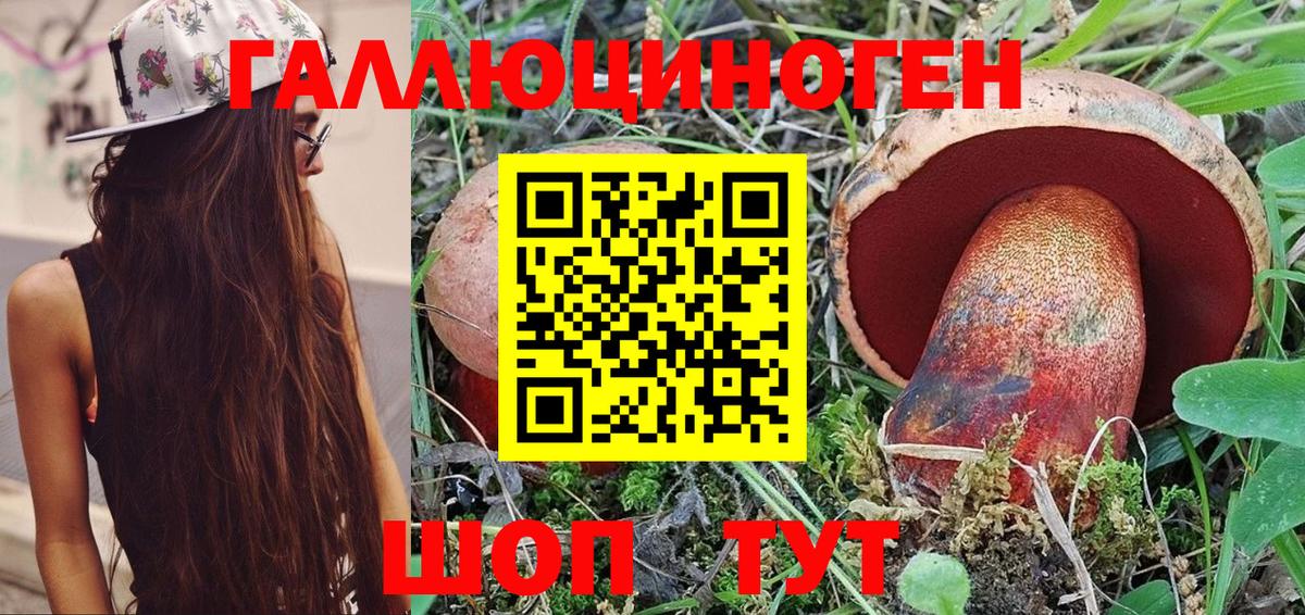 Орехово-Зуево  Галлюциногенные грибы Psilocybine cubensis  Вход с VPN 